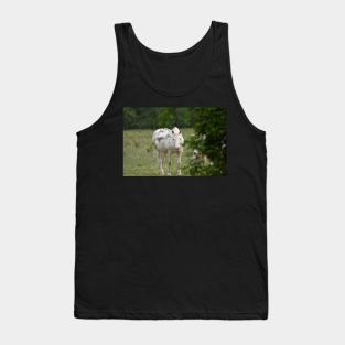 Wild Horse Tank Top